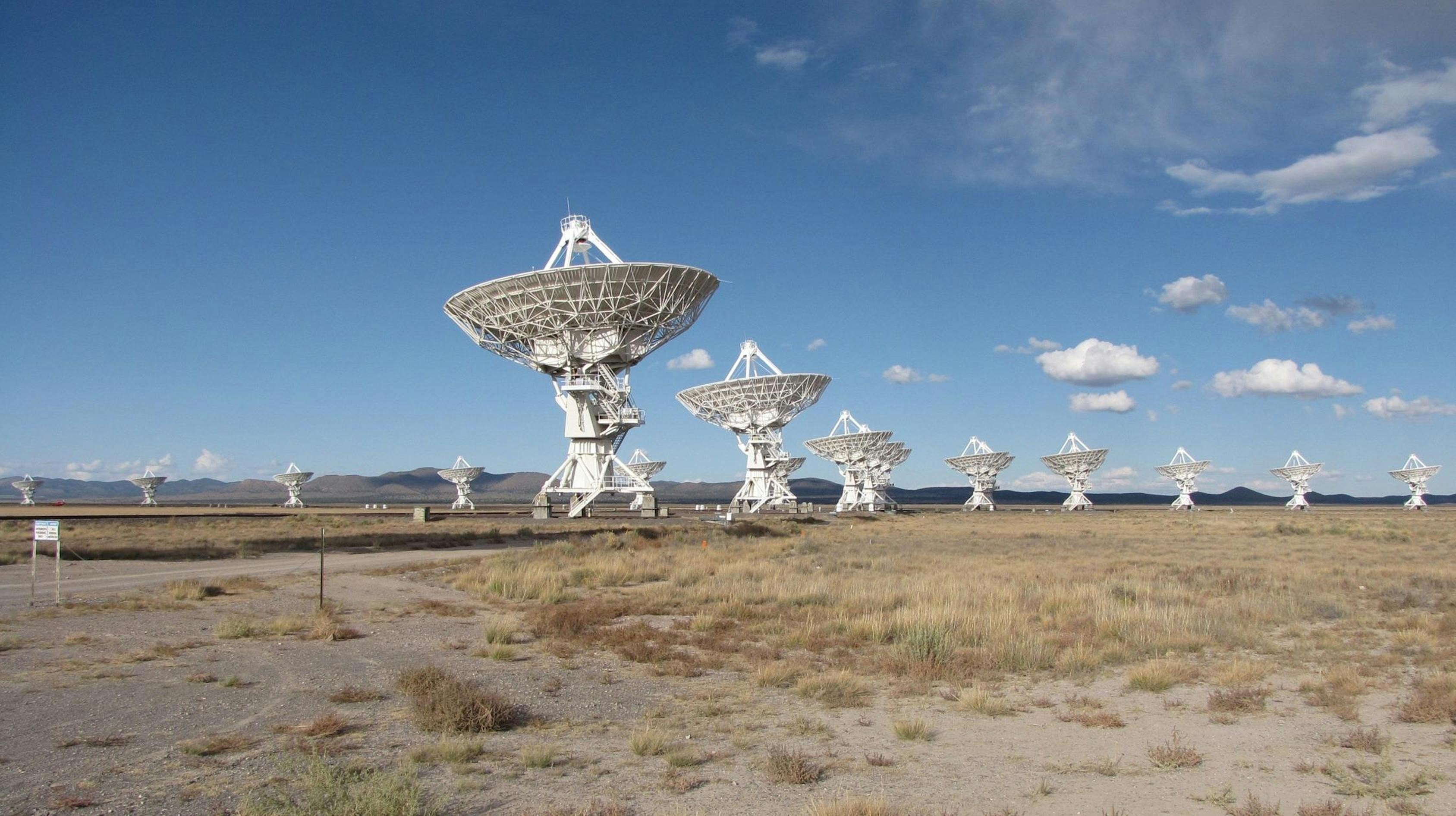 Radio telescope array field